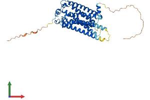 AlphaFold protein structure predicition of Human Recombinant LPAR1 Protein, UniprotID Q92633