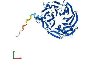 AlphaFold protein structure predicition of Human Recombinant THOC6 Protein, UniprotID Q86W42