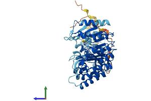 AlphaFold protein structure predicition of Human Recombinant PRAMEF5 Protein, UniprotID Q5TYX0