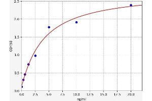 MX1 ELISA 试剂盒