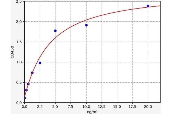 MX1 ELISA 试剂盒