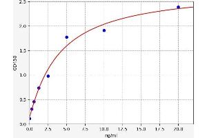 Typical standard curve (MX1 ELISA 试剂盒)