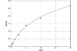 Protein Kinase, AMP-Activated, beta 1 Non-Catalytic Subunit (PRKAB1) ELISA Kit