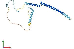 AlphaFold protein structure predicition of Mouse Recombinant Pdap1 Protein, UniprotID Q3UHX2