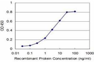 Detection limit for recombinant GST tagged SCAMP3 is approximately 0. (SCAMP3 抗体  (AA 70-169))