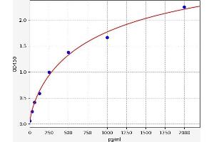 Typical standard curve (SERP1 ELISA 试剂盒)