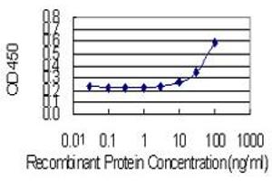 Detection limit for recombinant GST tagged AKR1C4 is 3 ng/ml as a capture antibody. (AKR1C4 抗体  (AA 1-323))