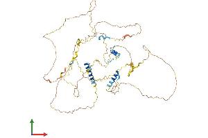 Protein Structure (PS) image for Chromosome 1 Open Reading Frame 116 (c1orf116) (AA 1-606) protein (His tag) (ABIN7558668)