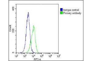 Flow Cytometry (FACS) image for anti-Proprotein Convertase Subtilisin/kexin Type 1 (PCSK1) (AA 682-715) antibody (ABIN6243941)