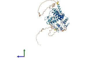Protein Structure (PS) image for Zinc Finger Protein 397 (ZNF397) (AA 1-534) protein (His tag) (ABIN7545548)