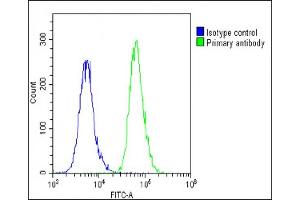 Overlay histogram showing A549 cells stained with (ABIN6243511 and ABIN6578850)(green line). (BCL2L10 抗体  (AA 89-123))