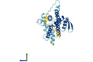 Protein Structure (PS) image for Der1-Like Domain Family, Member 3 (DERL3) (AA 1-235) protein (His tag) (ABIN7547054)