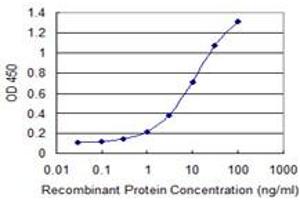 Detection limit for recombinant GST tagged GNL3 is 0. (Nucleostemin 抗体  (AA 328-427))