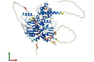 Protein Structure (PS) image for Tubulin Tyrosine Ligase-Like Family, Member 11 (TTLL11) (AA 1-727) protein (His tag) (ABIN7561998)