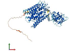 Protein Structure (PS) image for Protein-O-Mannosyltransferase 2 (POMT2) (AA 1-750) protein (His tag) (ABIN7555048)