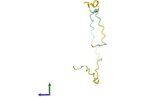 AlphaFold protein structure predicition of Mouse Recombinant Nrep Protein, UniprotID Q07475
