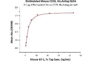 Immobilized Biotinylated Mouse CD28, His,Avitag (ABIN6972980) at 1 μg/mL (100 μL/well) on Streptavidin  precoated (0. (CD28 Protein (CD28) (AA 20-149) (His tag,AVI tag,Biotin))