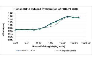 SDS-PAGE of Human Insulin-like Growth Factor II Recombinant Protein Bioactivity of Human Insulin-like Growth Factor II Recombinant Protein. (IGF2 蛋白)