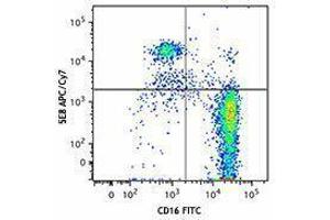 Flow Cytometry (FACS) image for anti-Chemokine (C-C Motif) Receptor 3 (CCR3) antibody (APC-Cy7) (ABIN2660559) (CCR3 抗体  (APC-Cy7))