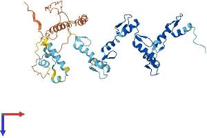 AlphaFold protein structure predicition of Human Recombinant ZNF735 Protein, UniprotID P0CB33
