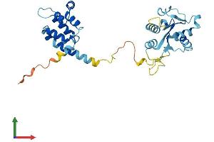 AlphaFold protein structure predicition of Mouse Recombinant Myd88 Protein, UniprotID P22366