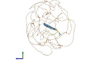 Protein Structure (PS) image for TSC22 Domain Family, Member 1 (TSC22D1) (AA 1-1077) protein (His tag) (ABIN7563499)
