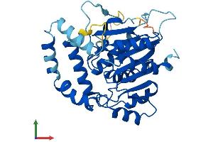 Protein Structure (PS) image for Lipid Droplet-Associated Hydrolase (LDAH) (AA 1-325) protein (His tag) (ABIN7548952)