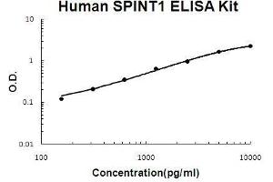 Human SPINT1/HAI-1 PicoKine ELISA Kit standard curve (SPINT1 ELISA 试剂盒)