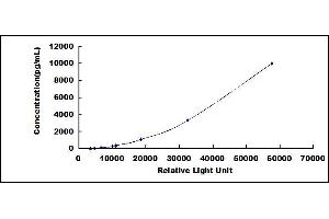ELISA image for Matrix Metallopeptidase 7 (Matrilysin, Uterine) (MMP7) CLIA Kit (ABIN1081762)