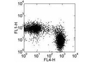 Image no. 1 for anti-Sialophorin (SPN) antibody (FITC) (ABIN473770) (CD43 抗体  (FITC))