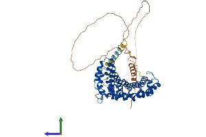 Protein Structure (PS) image for Armadillo Repeat Containing, X-Linked 1 (ARMCX1) (AA 1-453) protein (His tag) (ABIN7552357)