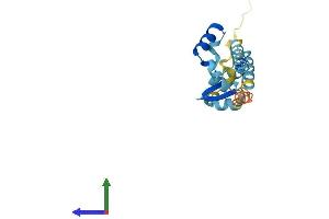 Protein Structure (PS) image for CGG Triplet Repeat Binding Protein 1 (CGGBP1) (AA 1-167) protein (His tag) (ABIN7553362)