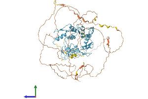 Protein Structure (PS) image for CCCTC-Binding Factor (Zinc Finger Protein) (CTCF) (AA 1-727) protein (His tag) (ABIN7553593)