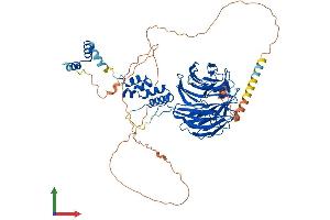 AlphaFold protein structure predicition of Human Recombinant FBXW7 Protein, UniprotID Q969H0