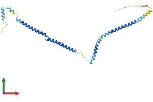 AlphaFold protein structure predicition of Mouse Recombinant Haus2 Protein, UniprotID Q9CQS9