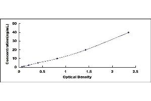 Typical standard curve (CPE ELISA 试剂盒)