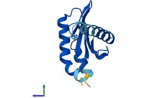 Protein Structure (PS) image for Late Endosomal/lysosomal Adaptor, MAPK and mTOR Activator 2 (LAMTOR2) (AA 1-125) protein (His tag) (ABIN7549243)