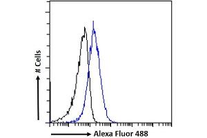 (ABIN184635) Flow cytometric analysis of paraformaldehyde fixed A549 cells (blue line), permeabilized with 0. (MTMR9 抗体  (C-Term))
