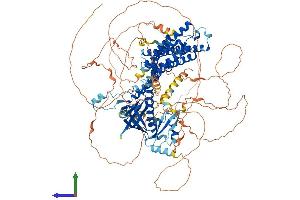 Protein Structure (PS) image for Pleckstrin Homology Domain Containing, Family G (With RhoGef Domain) Member 5 (PLEKHG5) (AA 1-1073) protein (His tag) (ABIN7563997)