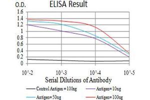 ELISA image for anti-Met Proto-Oncogene (MET) (AA 743-932) antibody (ABIN5542707)