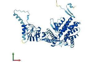 AlphaFold protein structure predicition of Mouse Recombinant Cct6b Protein, UniprotID Q61390