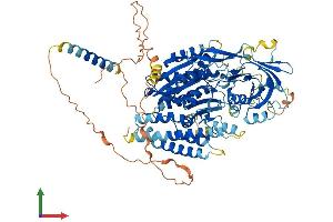 AlphaFold protein structure predicition of Human Recombinant NAALADL2 Protein, UniprotID Q58DX5 (NAALADL2 Protein (AA 1-795) (His tag))