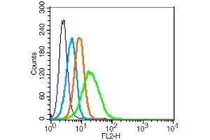 Human U937 probed with 	SIRP Alpha Polyclonal Antibody  at 1:100 for 30 minutes followed by incubation with a PE Conjugated secondary (green) for 30 minutes compared to control cells (blue), secondary only (light blue) and isotype control (orange). (SIRPA 抗体  (AA 151-250))