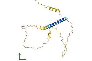 AlphaFold protein structure predicition of Human Recombinant FAM163B Protein, UniprotID P0C2L3 (FAM163B Protein (AA 1-166) (His tag))