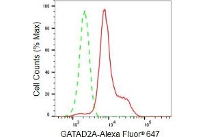 Flow cytometric analysis of GATAD2A expression in HeLa cells using GATAD2A antibody (ABIN7798698), 1:2,000). (Recombinant GATAD2A 抗体)
