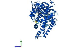 AlphaFold protein structure predicition of Mouse Recombinant Cyp2c55 Protein, UniprotID Q9D816 (CYP2C55 Protein (AA 1-490) (His tag))