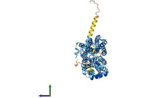 Protein Structure (PS) image for Solute Carrier Family 22 (Organic Cation Transporter), Member 16 (SLC22A16) (AA 1-577) protein (His tag) (ABIN7555383)
