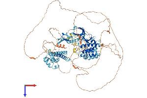 KSR1 Protein (AA 1-923) (His tag)