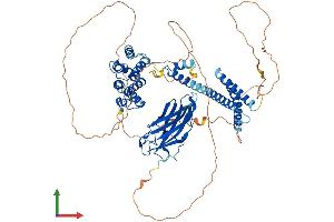 Protein Structure (PS) image for Golgi-Associated, gamma Adaptin Ear Containing, ARF Binding Protein 3 (GGA3) (AA 1-718) protein (His tag) (ABIN7558768)