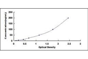 Typical standard curve (NAMPT ELISA 试剂盒)